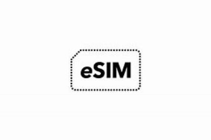 esim usa 1g (VOCOM LIVE)  の画像